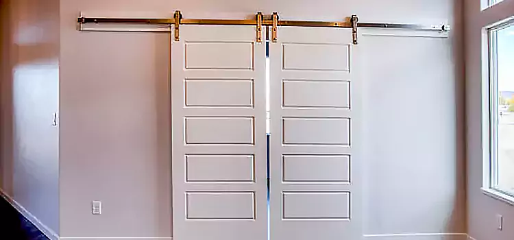 Glass Barn Door with Installation Hardware Kit South Riding