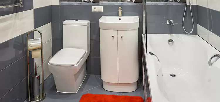 Hansgrohe Shaving Mirror South Riding